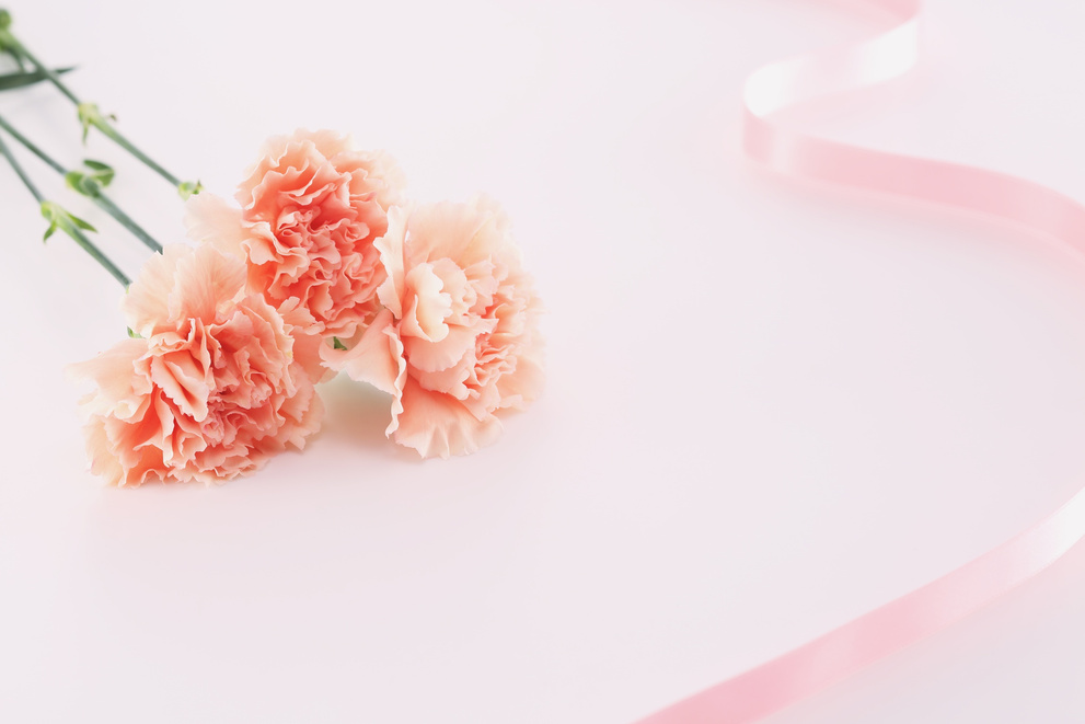 Peach Carnations with Pink Ribbon